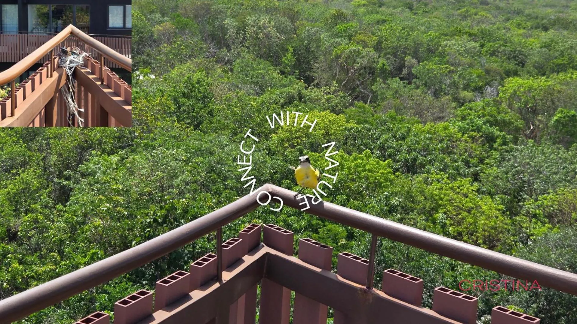 Hideaway In Tulum Hotel Zone